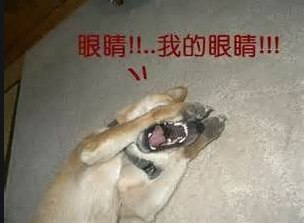 [photo](media:AgADBQADeakxG86NWVdRGsgEX6VOdXa6-TIABAEAAwIAA20AAzdaAgABFgQ@telegram)