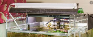 [photo](media:AgADBQADeqkxG9IdUVQHkd73QZYhRLe4JTMABAEAAwIAA20AA3mRAQABFgQ@telegram)