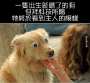 [photo](media:AgADBQADf68xGy-_EAgMTKhnUOQZ6gyXvzIABCWbe9cTFc2AzOABAAEC@telegram)