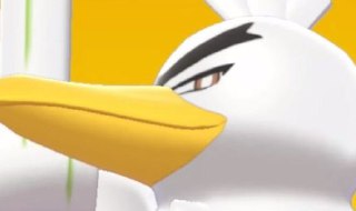 [photo](media:AgADBQADf6kxG6jCmFbl18fiJ4A1R0IkGzMABAEAAwIAA20AAypSAAIWBA@telegram)