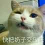 [photo](media:AgADBQADfqgxG_8cOFb1_iv5Enju8nRn3jIABOzItSHdG13FDZoEAAEC@telegram)