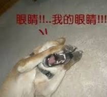 [photo](media:AgADBQADfqkxG8NeaVSLjt2IJubw6BfCJTMABAEAAwIAA20AA8SqAQABFgQ@telegram)