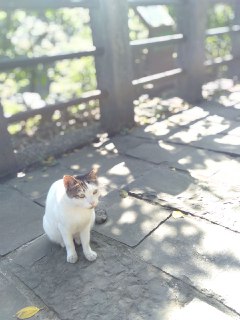 [photo](media:AgADBQADgqgxG97miFbKEMar-NIdLeiAAjMABAEAAwIAA20AAwFoBQABFgQ@telegram)