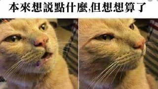 [photo](media:AgADBQADh6kxG-6OoFX_Aso8Wob5R_am-TIABAEAAwIAA20AA2Q3BQABFgQ@telegram)