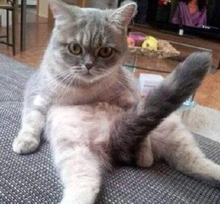 [photo](media:AgADBQADhqkxGwJAsVSnZY2VY0V96kh0-TIABAEAAwIAA20AA3GiBAABFgQ@telegram)