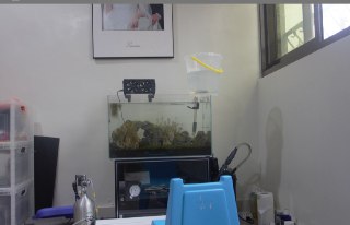 [photo](media:AgADBQADi6gxG6CC2FYjMmTBvOw7TbZ4-TIABAEAAwIAA20AAx9vAgABFgQ@telegram)