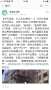 [photo](media:AgADBQADi6gxGzGnqFRl_H_gdcscGTRS2zIABH3Bptx894rgBmACAAEC@telegram)