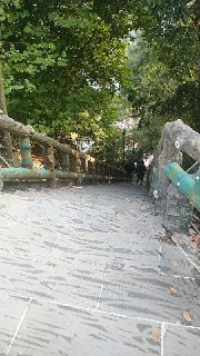 [photo](media:AgADBQADjqgxGwABlWFV1dCkY9XNT5ROtfkyAAQBAAMCAANtAANl4AQAARYE@telegram)