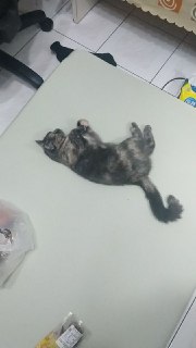 [photo](media:AgADBQADk6kxG3zgiFVptaT3Ql4km9V3-TIABAEAAwIAA20AA6e2BQABFgQ@telegram)