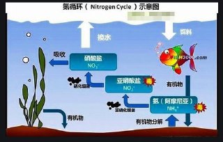 [photo](media:AgADBQADl6gxG0w0CFfuligkuj4k-nK6-TIABAEAAwIAA20AA7H7AQABFgQ@telegram)