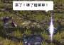 [photo](media:AgADBQADmKgxG9Gl6FSLKKMO4Mi-G7JZ9jIABPq46bASaRlDhgADAg@telegram)