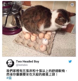 [photo](media:AgADBQADnKgxGxUjcFYBjhAuiAuhlWCD-TIABAEAAwIAA20AAwz6AQABFgQ@telegram)