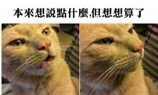 [photo](media:AgADBQADnagxG3oAASBWkhbkFfZvgeqmhwIzAAQBAAMCAANtAAN45wQAARYE@telegram)