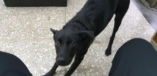 [photo](media:AgADBQADo6kxG7rMcVTd4Z7cjR6poWN2-TIABAEAAwIAA20AA3xJBAABFgQ@telegram)