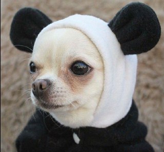 [photo](media:AgADBQADoagxG7v5yVb_kruVsR_yu4iy-TIABAEAAwIAA20AAym1AQABFgQ@telegram)