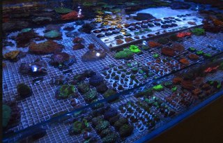 [photo](media:AgADBQADoagxG8K_iVd8LLpOqcDUAod5-TIABAEAAwIAA20AAygzAwABFgQ@telegram)