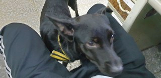 [photo](media:AgADBQADoqkxG7rMcVRZpUVTLBG16MWEAjMABAEAAwIAA20AA_SuAgABFgQ@telegram)