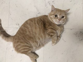 [photo](media:AgADBQADp6kxG1scgVaXthz_X1SF2NGj-TIABAEAAwIAA20AAwVkAQABFgQ@telegram)