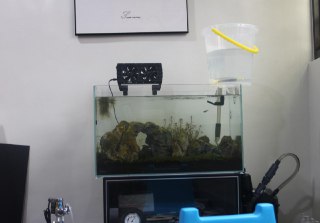 [photo](media:AgADBQADpKkxG0jH4VauQ2x0rBV4Yxik-TIABAEAAwIAA20AA7jUAQABFgQ@telegram)