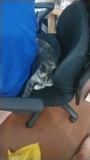 [photo](media:AgADBQADpagxGzTHeFThsHTItRkIcouKAjMABAEAAwIAA20AA522AgABFgQ@telegram)