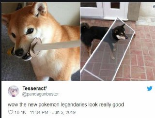 [photo](media:AgADBQADpqgxG5uHeFcoTevd_l9TMNah-TIABAEAAwIAA20AA6KKAgABFgQ@telegram)