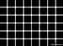 [photo](media:AgADBQADq6cxG9JoaFcPnwi0oSeTD4BTyjIABAV1R7WPlEgEaf4BAAEC@telegram)