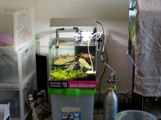 [photo](media:AgADBQADqakxG3gXyVT8BjE8h6nyxUstGzMABAEAAwIAA20AAwOmAgABFgQ@telegram)