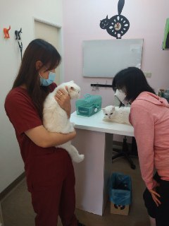 [photo](media:AgADBQADrKgxG9oP0FTss19iIKapmH6LAjMABAEAAwIAA20AA88iAwABFgQ@telegram)