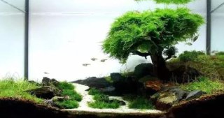 [photo](media:AgADBQADsKgxGz64mVbTvKuGQpSNOvOOAjMABAEAAwIAA20AA8WEAAIWBA@telegram)