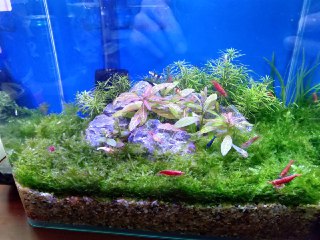 [photo](media:AgADBQADt6kxGxep-FaX_1unIf_NuDV6-TIABAEAAwIAA20AA6-RAgABFgQ@telegram)