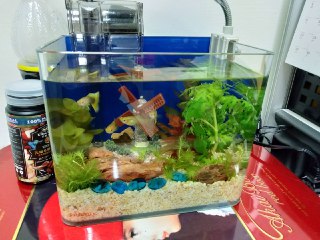 [photo](media:AgADBQADtqkxGxep-FaYBQ-eHOfnyhqv-TIABAEAAwIAA20AA_74AQABFgQ@telegram)