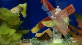 [photo](media:AgADBQADuKkxGxep-FatqFtZgRdKwwKCAjMABAEAAwIAA20AAx33AAIWBA@telegram)