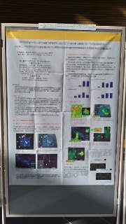 [photo](media:AgADBQADv6gxGxHs4VVPd0d8rP1rjCal-TIABAEAAwIAA20AAwmKBQABFgQ@telegram)