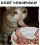[photo](media:AgADBQADvKkxGz3UyVbWwzCVq__pliLi3zIABPpV5bsAAW2H8-8mAQABAg@telegram)