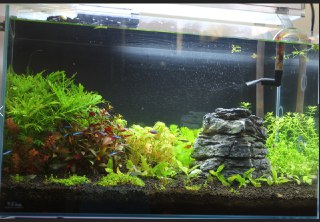 [photo](media:AgADBQADvagxG7JaoFTctWYVJjz4aN-HAjMABAEAAwIAA20AA8HtAgABFgQ@telegram)