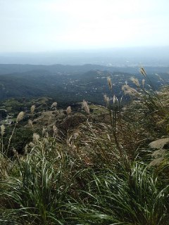 [photo](media:AgADBQADvakxG6E8QVb0j3oi7PYro7OJAjMABAEAAwIAA20AA7MfBQABFgQ@telegram)