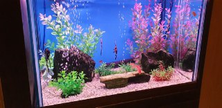 [photo](media:AgADBQADvakxGxep-FY0imq5EnWsf6mi-TIABAEAAwIAA20AA5v4AQABFgQ@telegram)