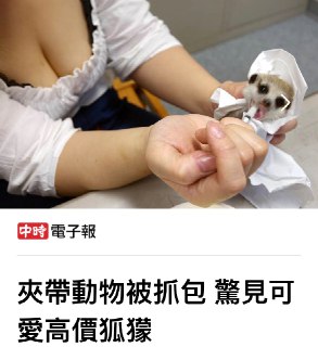 [photo](media:AgADBQADw6kxG64QeVS09BAnQHVGDVmC-TIABAEAAwIAA20AA7JYBAABFgQ@telegram)