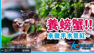 [photo](media:AgADBQADwqkxGyMFcFQb8xXPh_KpFVWhJTMABAEAAwIAA20AA5enAQABFgQ@telegram)