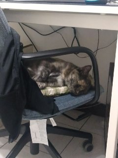 [photo](media:AgADBQADyagxG__JGFVRuC3tpD-ggbej-TIABAEAAwIAA20AA4eIBAABFgQ@telegram)