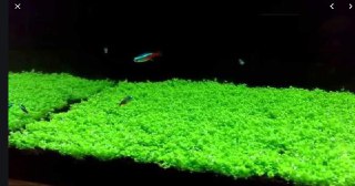 [photo](media:AgADBQAEqTEbC3oIVJv3W38c5n754zAbMwAEAQADAgADbQAD5dwBAAEWBA@telegram)