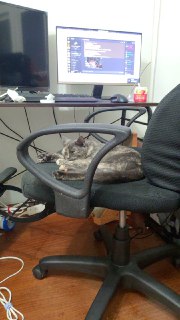 [photo](media:AgADBQAEqTEbHdigV80AAUdt9x4-DV9z-TIABAEAAwIAA20AA3JLAwABFgQ@telegram)